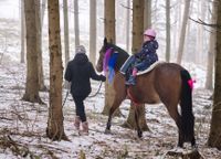 Ausritt in den Wald